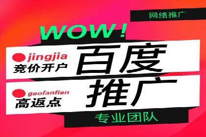 百度推广运营成功案例：行业领先企业的秘诀